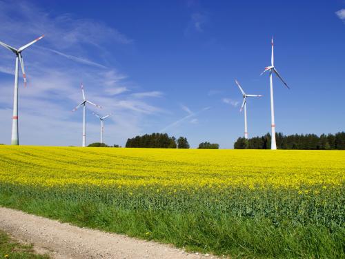 Los municipios turísticos canarios imparten formación gratuita para cumplir con la normativa de registro de huella de carbono