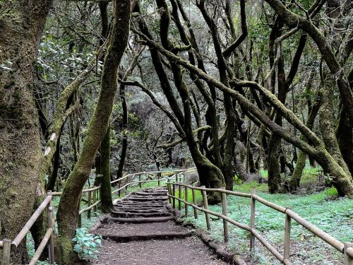 El Cabildo de La Gomera activa el operativo contra incendios con más de 200 efectivos