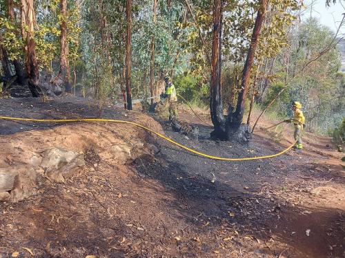 Bomberos de Tenerife intervienen en un fuego forestal en La Esperanza
