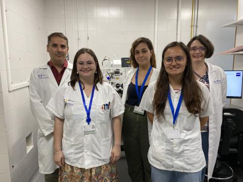 El Hospital Universitario La Candelaria descubre una nueva proteína implicada en la reparación del ADN dañado