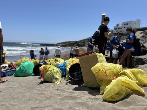 Fred. Olsen Express reúne a un centenar de personas voluntarias en una jornada de limpieza de litoral y fondo marino en El Porís