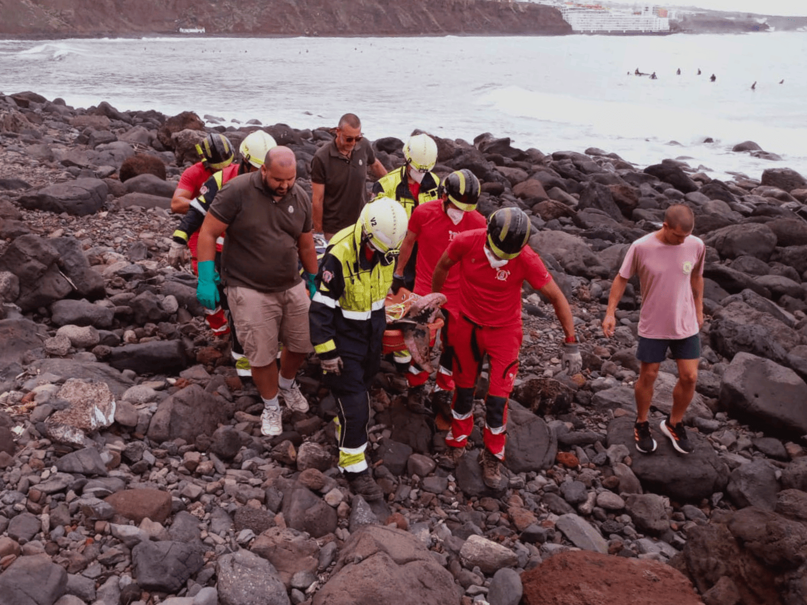 Bomberos de Tenerife intervienen en el rescate de un delfín en la playa del Arenal