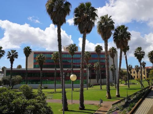 La ULL escalonará la entrada de 2750 estudiantes para reducir el tráfico en la TF-5