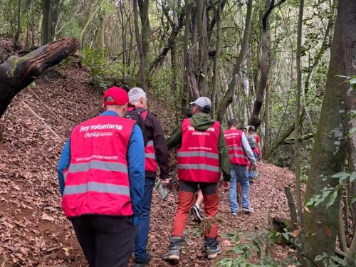 Voluntarios de Coca-Cola participan en un taller ambiental en el Bosque del Adelantado, Tenerife