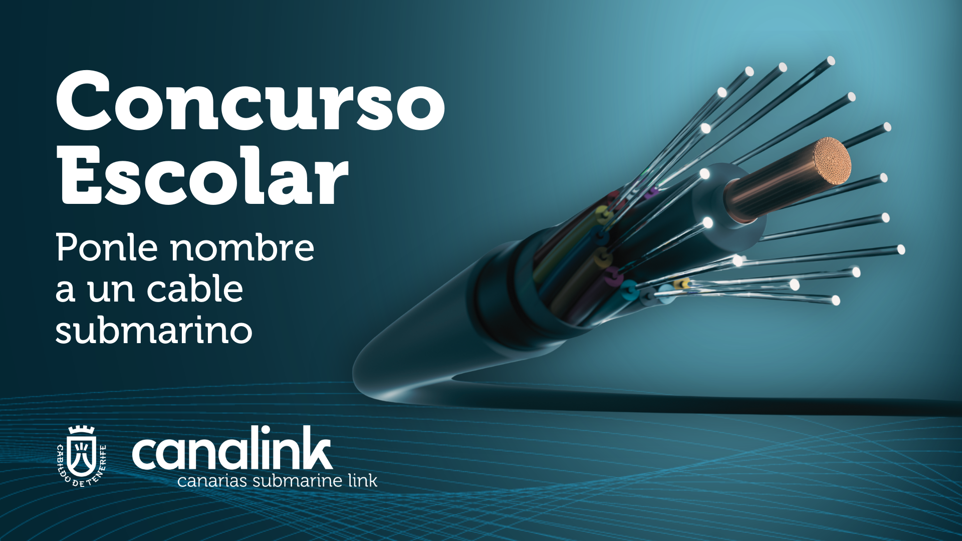 Canalink impulsa un concurso escolar para poner nombre a los nuevos cables submarinos del archipiélago