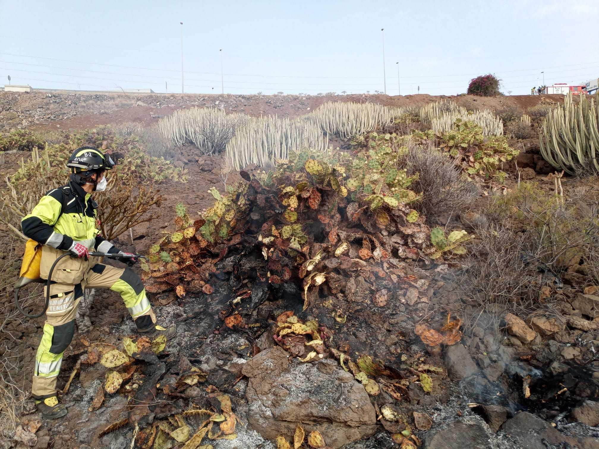 Bomberos de Tenerife colaboran en el dispositivo de rescate de un cuerpo en Santa Cruz
