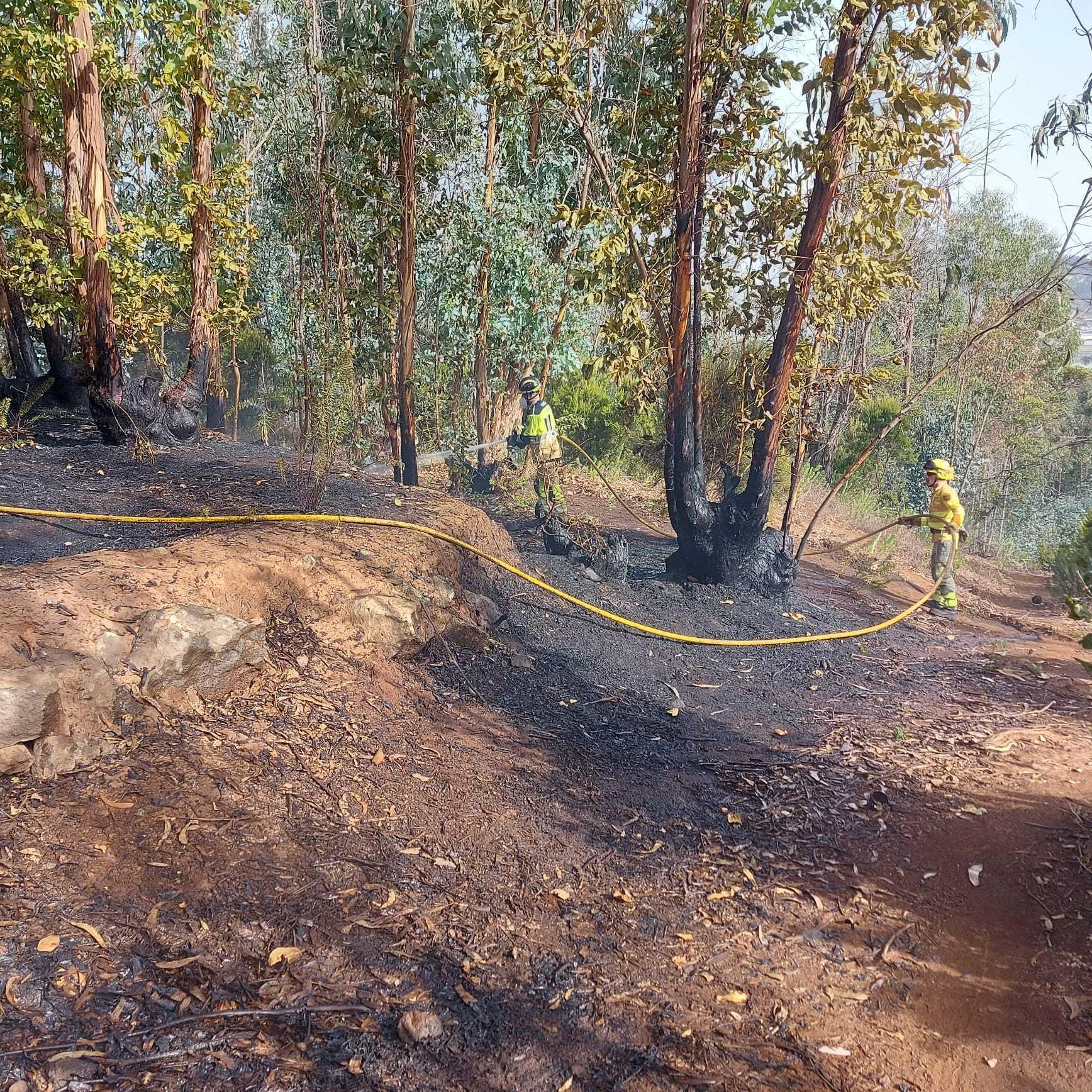 Bomberos de Tenerife intervienen en un fuego forestal en La Esperanza