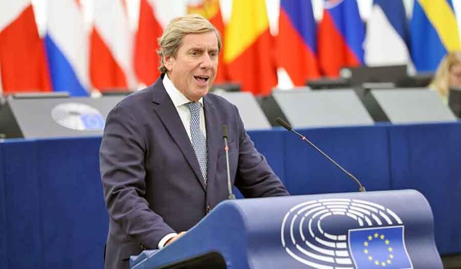 Gabriel Mato exige en la Eurocámara más a atención a la salud mental y recuerda que las secuelas del volcán de La Palma siguen presentes