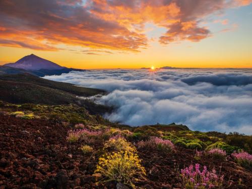 Descubriendo el Teide en Tenerife: Una Guía Completa para los Viajeros