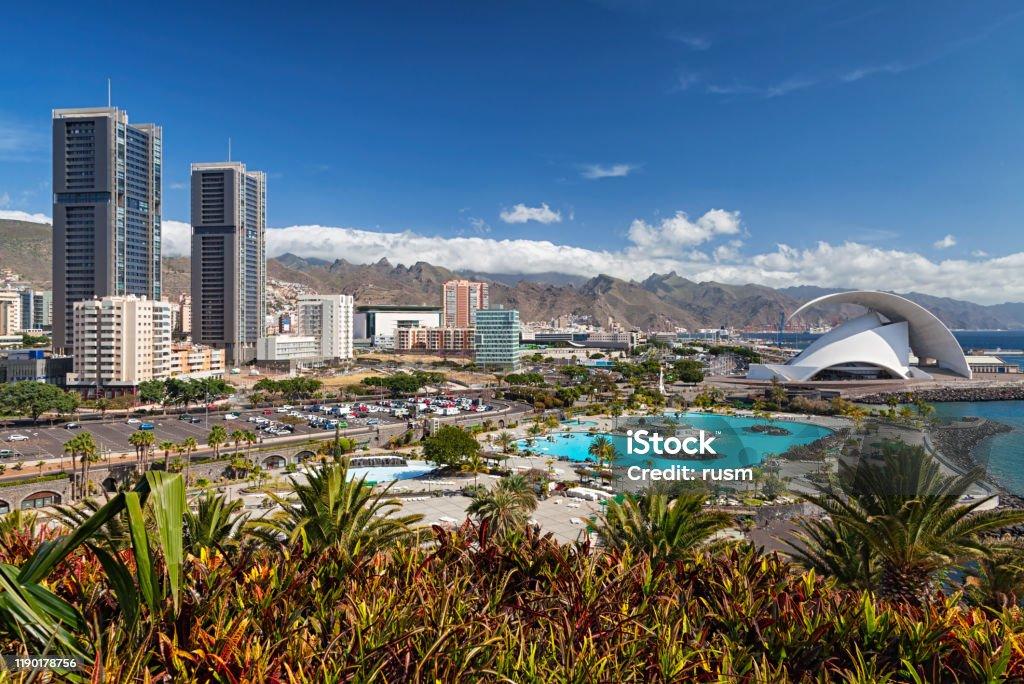 Santa Cruz de Tenerife cuenta con más de 400.000 árboles, la mitad en el parque de Anaga