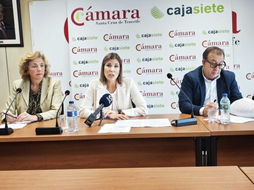 El comercio canario modera su ritmo de crecimiento en el arranque de año