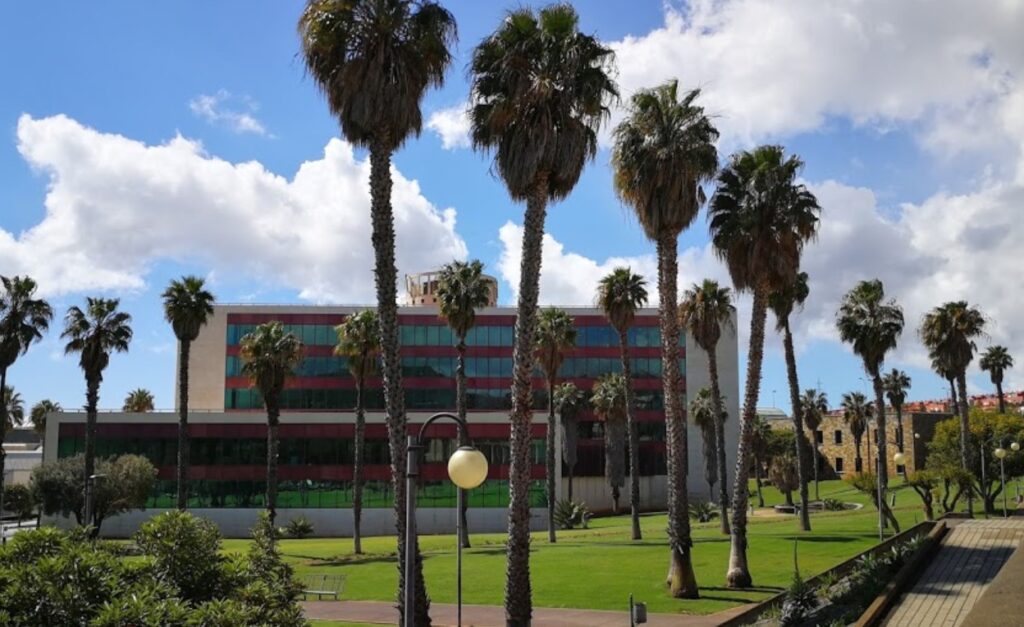 Un jardín de una casa.