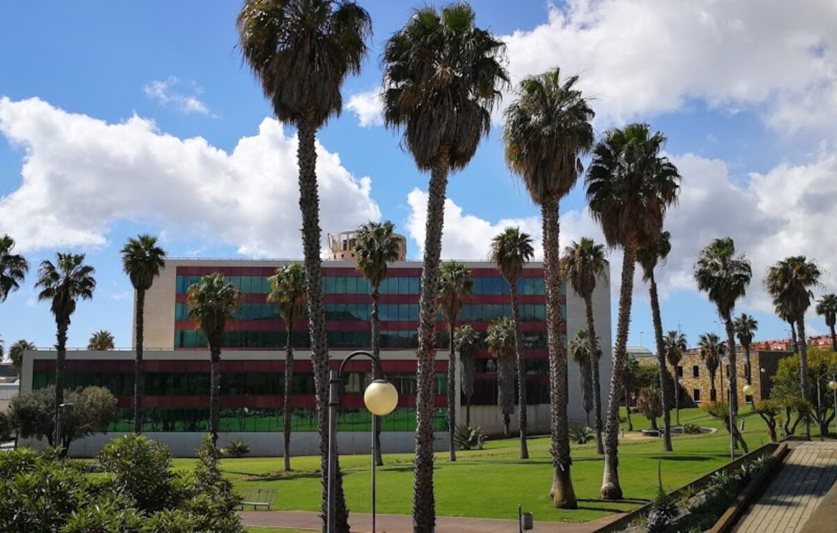 Un jardín de una casa.