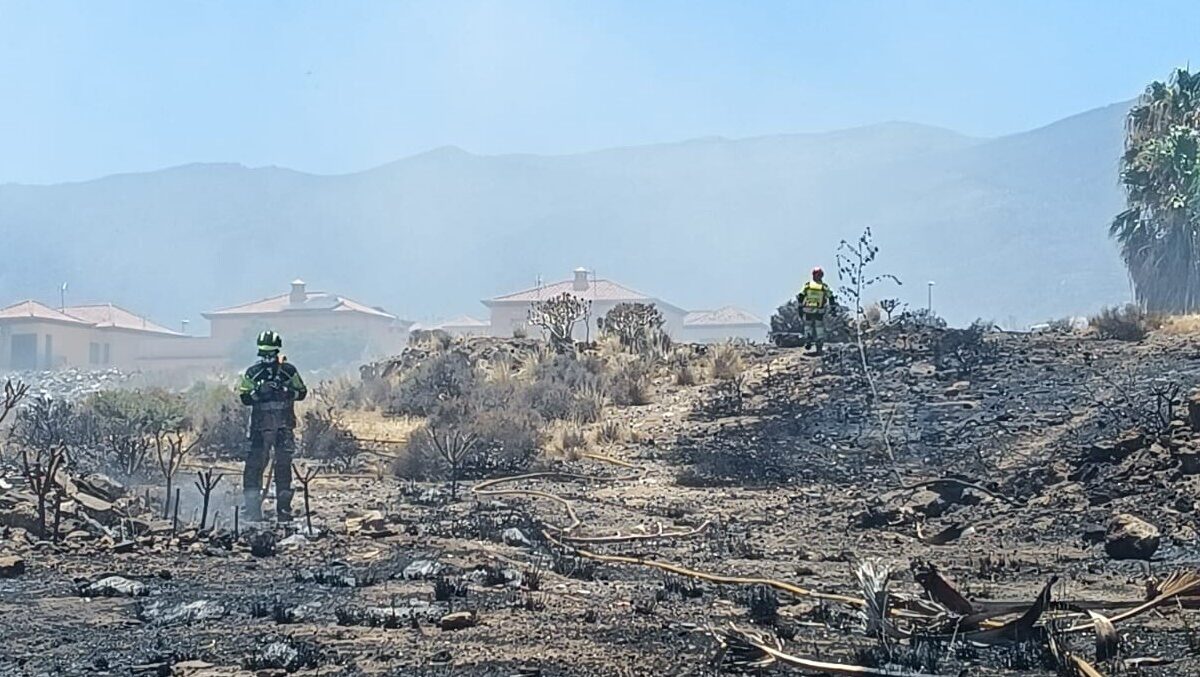 Fuego de rastrojos en Candelaria