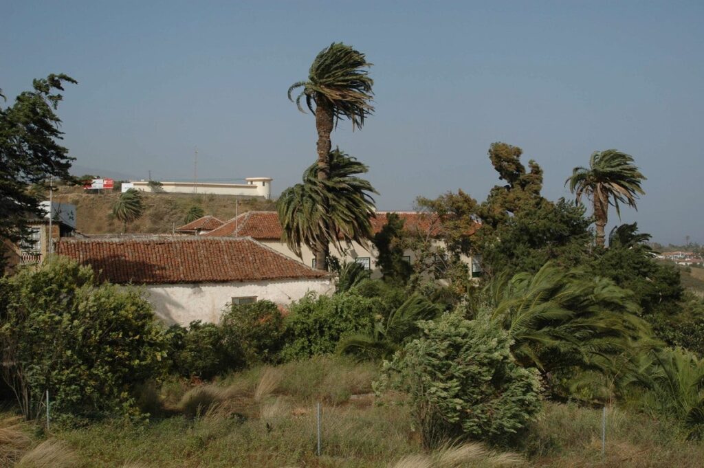 Alerta en Canarias: lluvias y rachas de viento de hasta 70 km/h este fin de semana