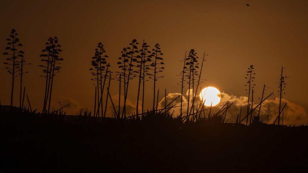 Canarias se refresca este martes: ¿dónde rozarán los 30 grados pese al descenso?