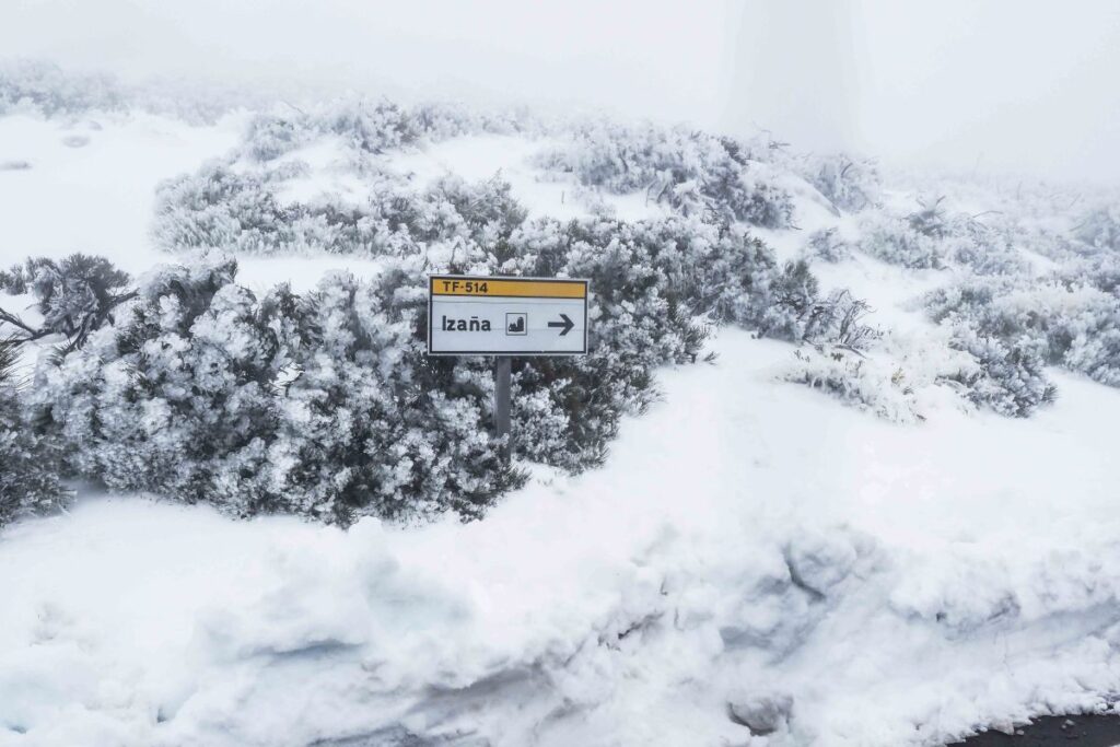 El Niño récord: por qué el invierno en Europa será de lluvias torrenciales y no de nieve