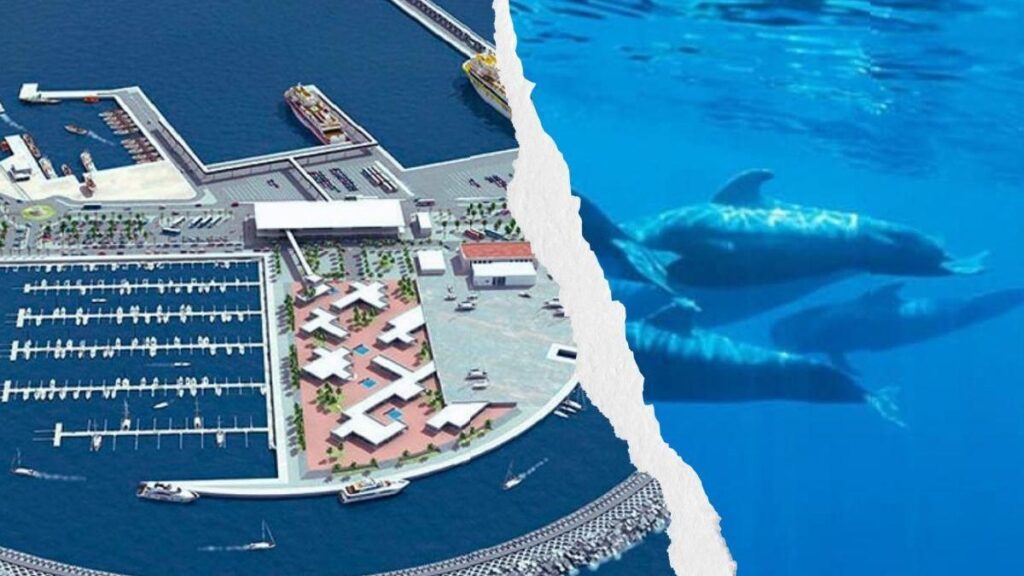Fonsalía resucita: el Gobierno de Canarias revive el polémico muelle que amenazaba a las ballenas