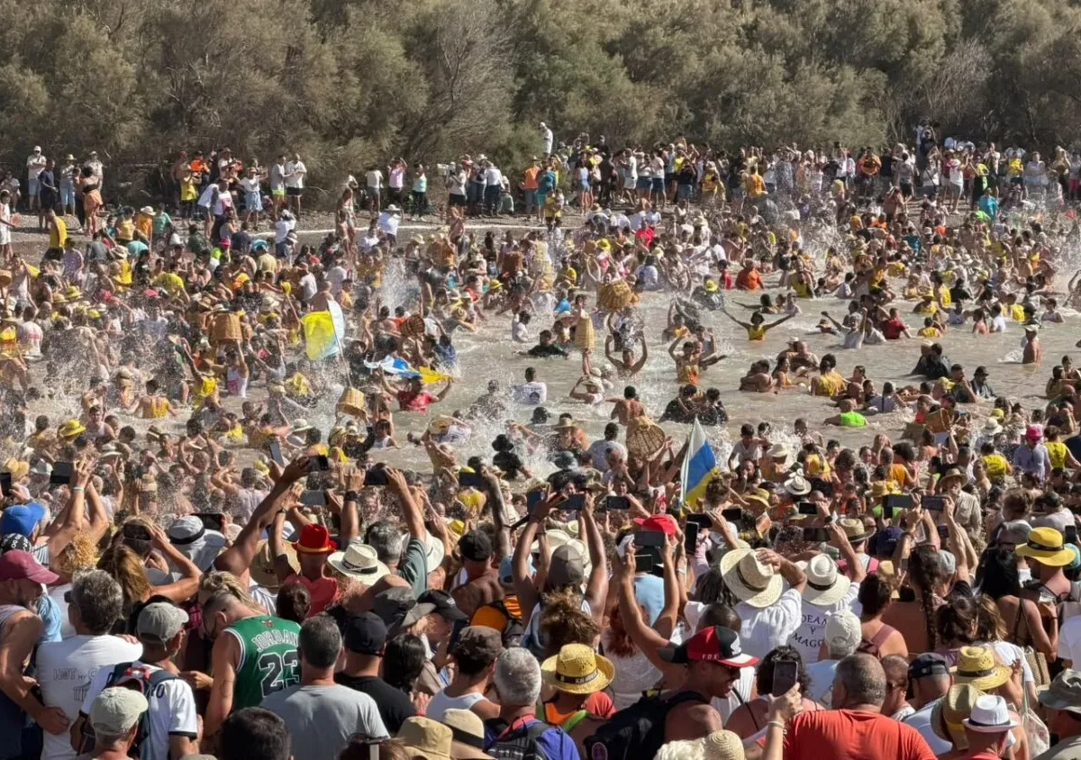 La Aldea revive la pesca ancestral con las manos: así es la Fiesta del Charco que atrae a miles