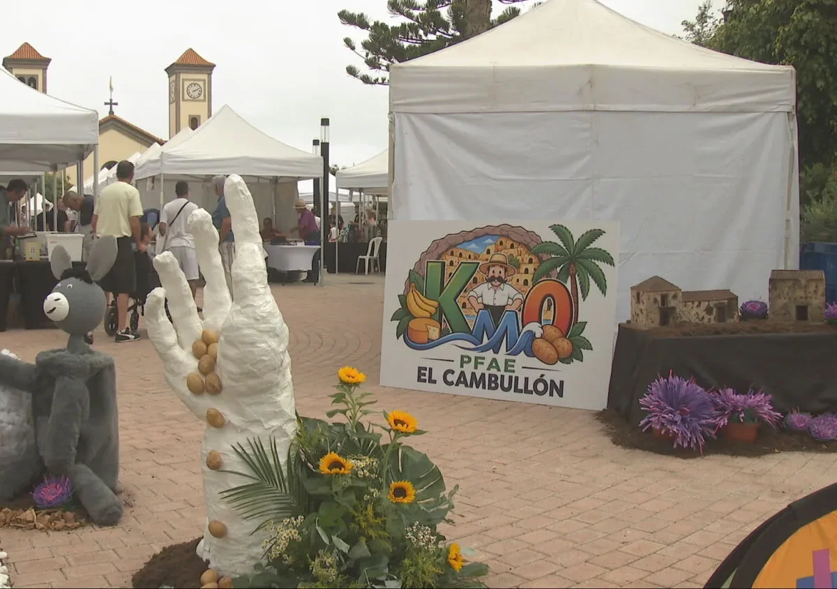 Guía estrena su primera feria del coleccionismo: objetos únicos, talleres y tradición en la plaza de San Pedro