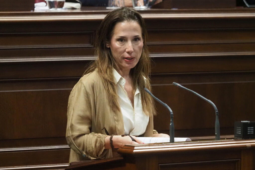 Bermúdez bajo fuego: el PSOE exige soluciones reales contra las ratas en Santa Cruz y no excusas
