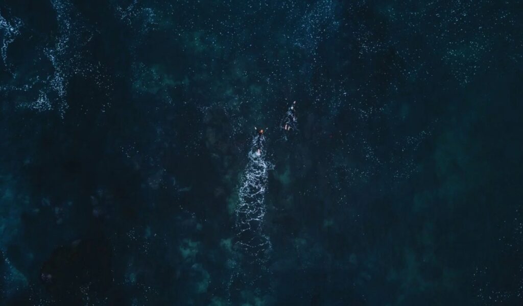 Canarias tiene un lado donde el mar es un desierto: hasta 9 grados menos de vida que en el este