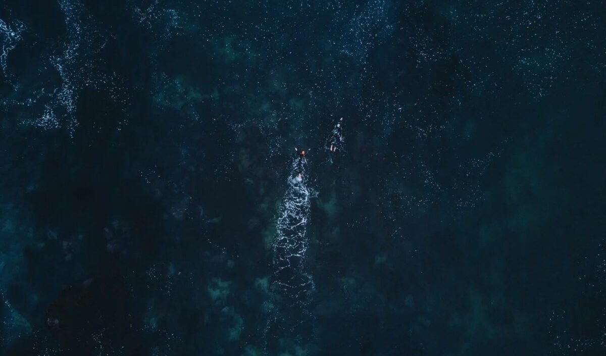 Canarias tiene un lado donde el mar es un desierto: hasta 9 grados menos de vida que en el este