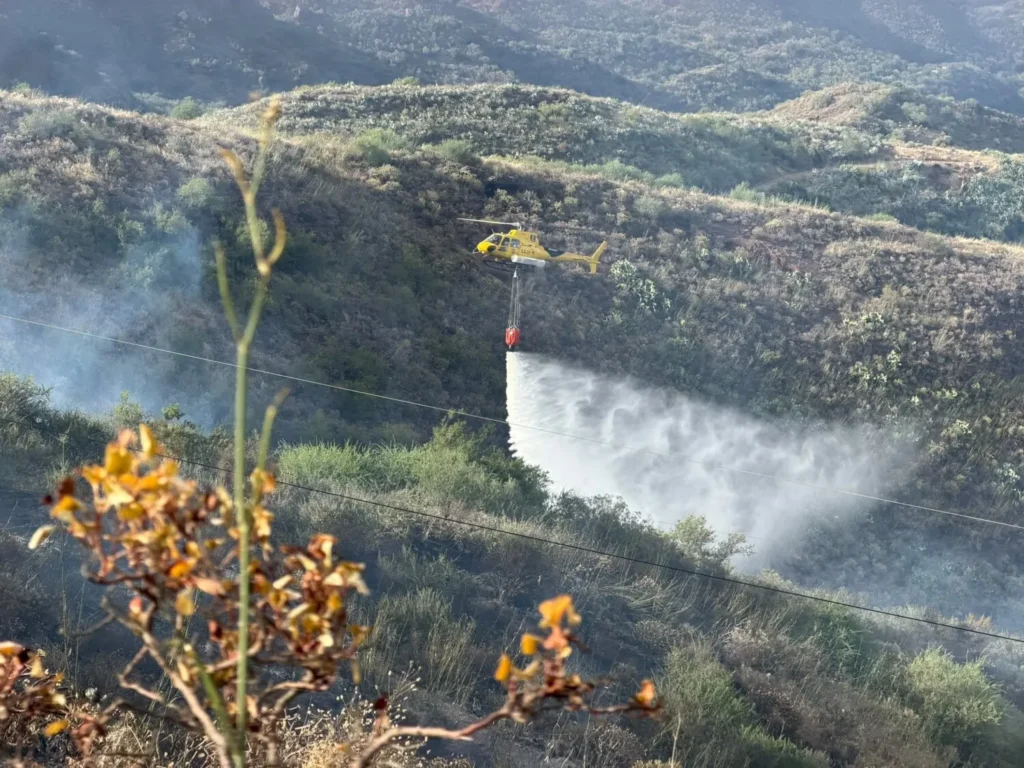 Alerta máxima en Tenerife y Gran Canaria: riesgo extremo de incendio forestal por calor y viento