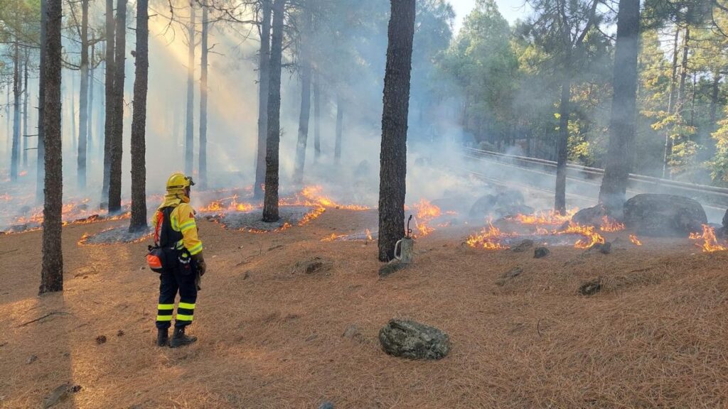 Gran Canaria baja a peligro medio de incendios: qué cambia para los agricultores desde este jueves
