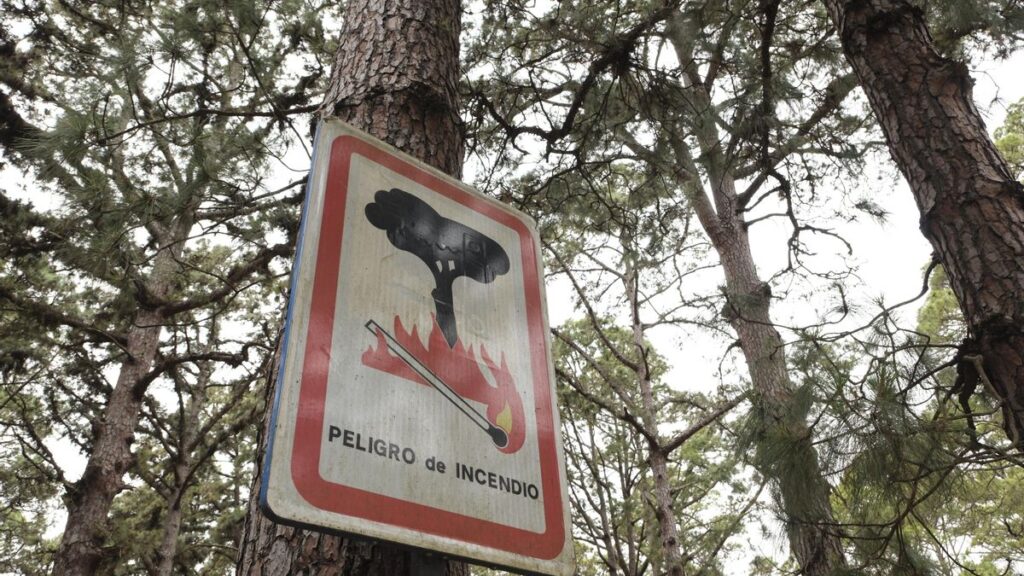 Canarias reduce a prealerta el riesgo de incendios en cuatro islas: ¿qué zonas siguen en alerta?