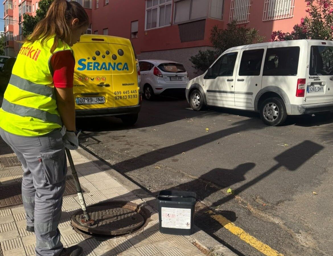 Santa Cruz activa un plan urgente contra ratas y cucarachas en cinco barrios: fechas y zonas clave