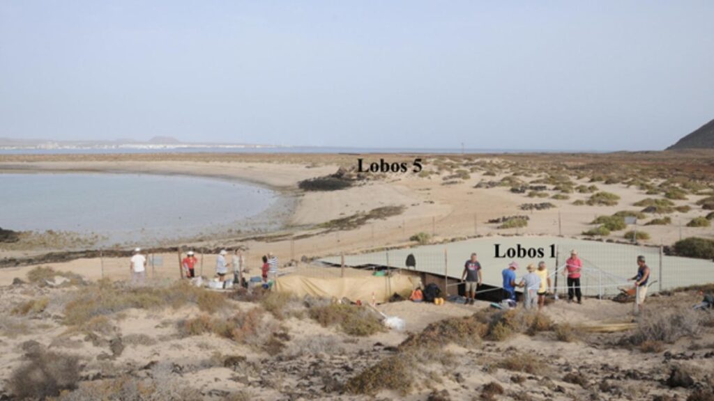 Lobos 5: comienza la excavación que podría revelar el secreto de la púrpura romana en Canarias