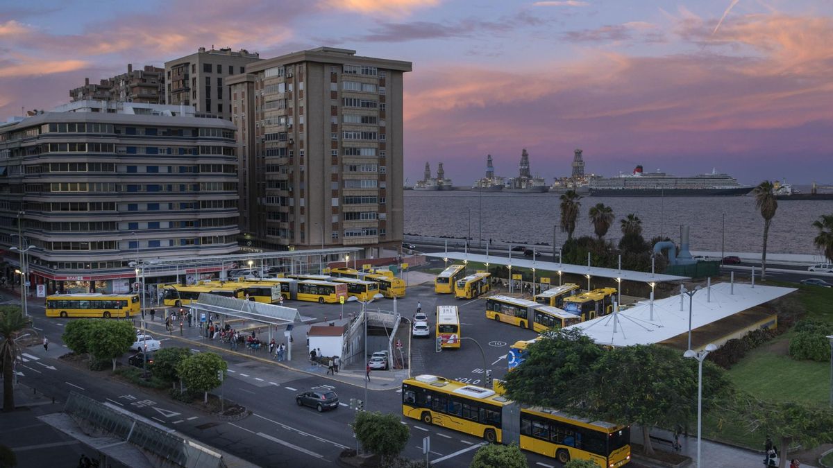 Guaguas Municipales cambia sus paradas en Las Palmas: dónde estarán desde el lunes