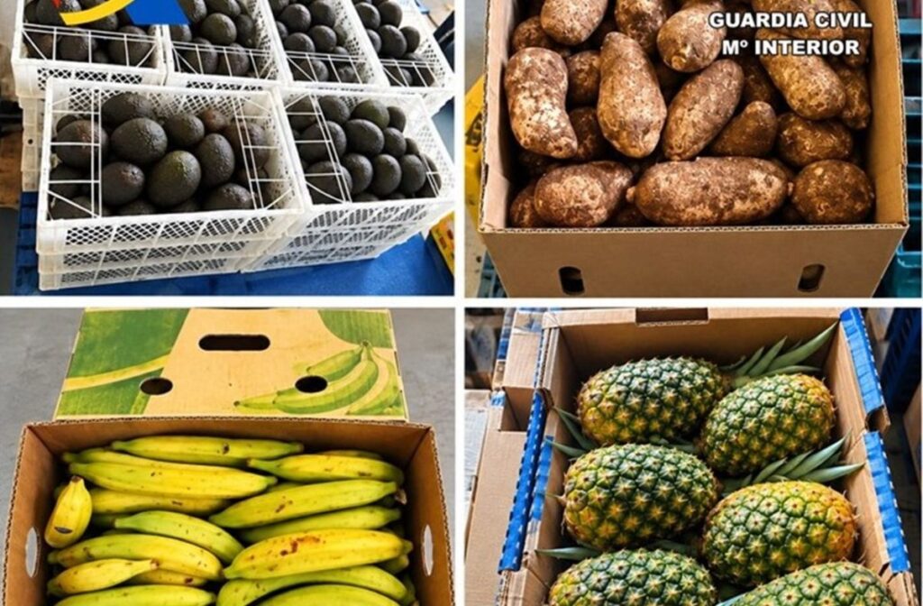 Dos toneladas de fruta prohibida incautadas en el puerto de Santa Cruz: así protegen los cultivos canarios