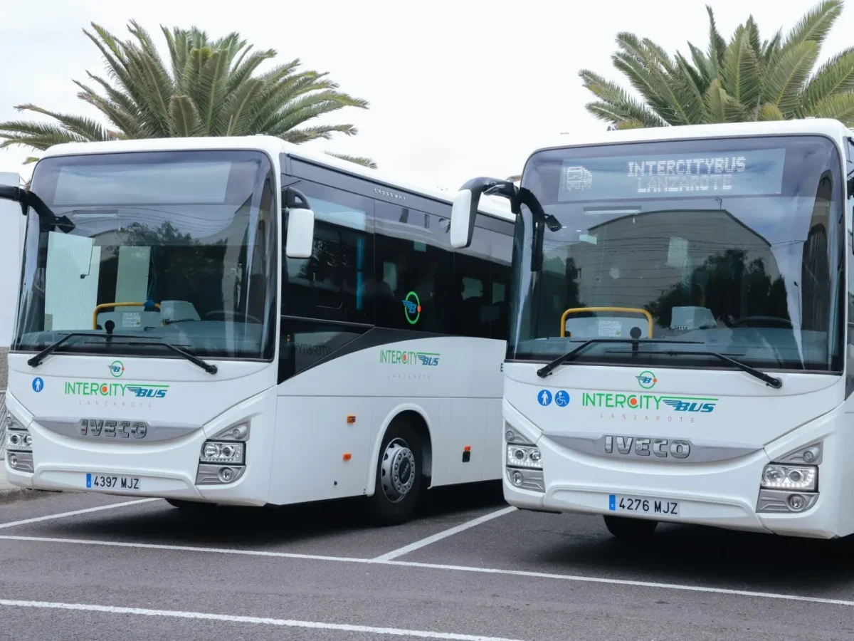 4.000 euros de multa por alterar el orden en una guagua de Lanzarote: ¿qué hicieron?