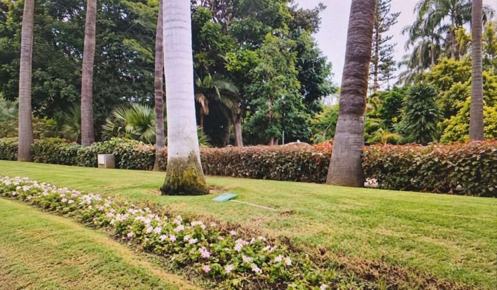 Vecinos denuncian: tumban la señal de no pisar y destrozan flores en el García Sanabria