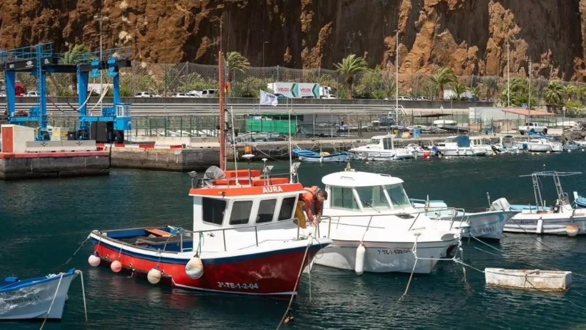 ¿Cuánto dinero pueden pedir las empresas pesqueras de La Palma? Hasta 25.000 €