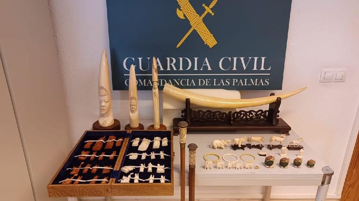 Hallan cuatro colmillos de marfil y figuras talladas en una reforma en Gran Canaria: ¿de dónde salieron?