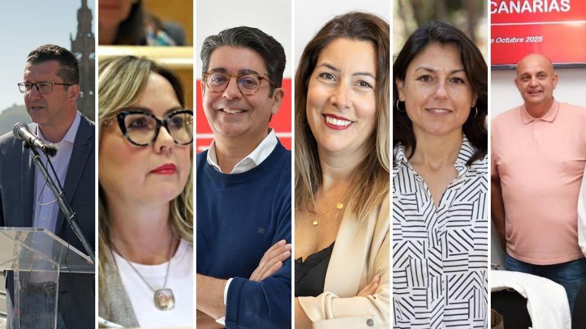 PSOE elige a sus senadores por Canarias: estos son los seis nombres que defenderán su proyecto en el 29N