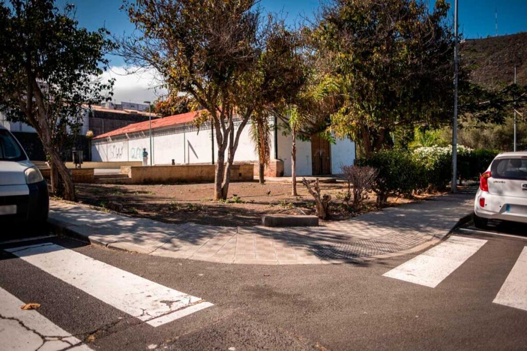 Santa Cruz frena la tala de 14 árboles tras el recurso de ecologistas: «Es desproporcionado»