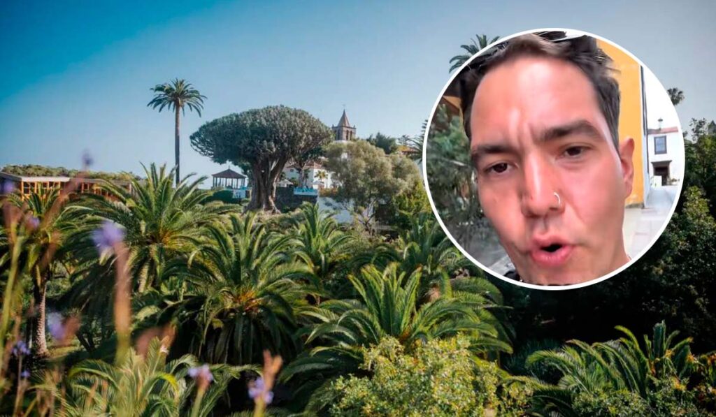 ¿Seis euros por un árbol? El vídeo que enciende el debate sobre el Drago Milenario en Tenerife