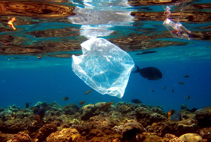 ¿Qué esconden las playas de Canarias? El proyecto que analiza cada residuo en Tazacorte